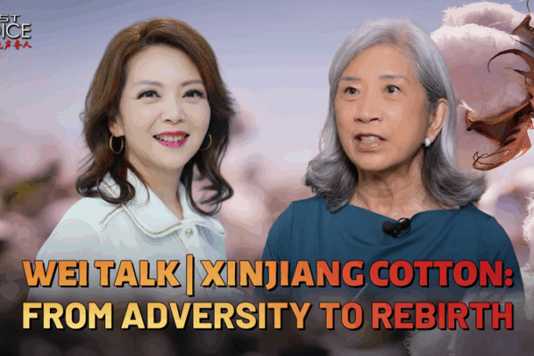 Xinjiang Cotton’s Resilience: From Crisis to Comeback Xinjiang Cotton’s Resilience: From Crisis to Comeback video poster