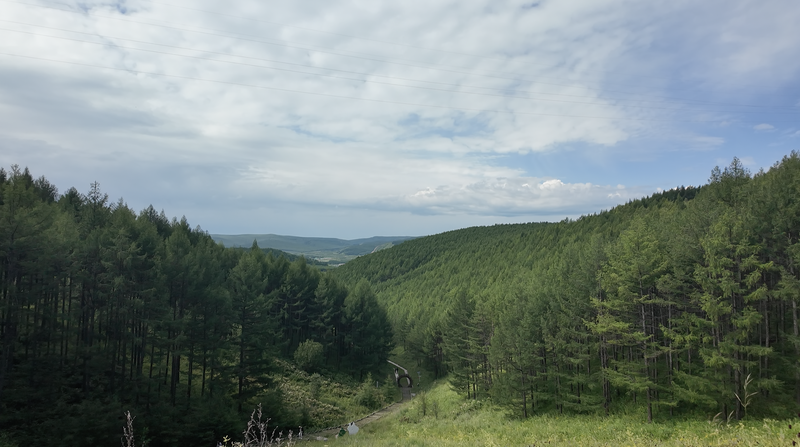 83N2FEXCXCLDP1Z2FTDF - Namaste Headlines Inner Mongolia’s Carbon Sink Revolution: Turning CO₂ into Cash 🌲💰