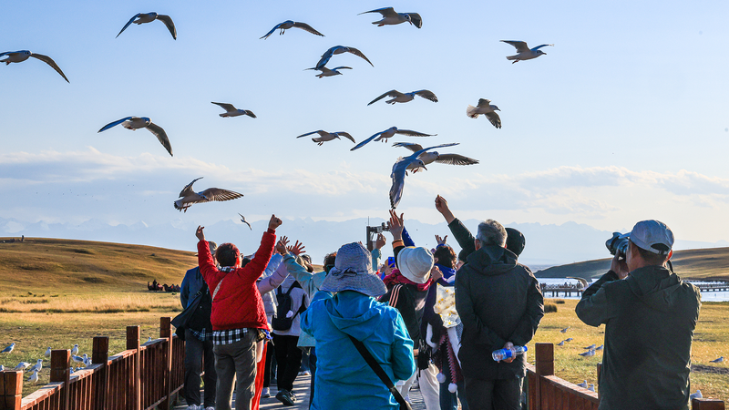 9EBWVXIV5OO1NSQVQYIL - Namaste Headlines Autumn Magic at Bayanbulak Grassland: Xinjiang’s Alpine Wonder