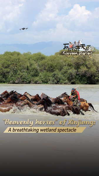 A5DEJBE9SBPKQF6CA8Y8 - Namaste Headlines Heavenly Horses of Xinjiang: Watch Ili Stallions Splash Through Zhaosu Wetland 🐎💦 video poster