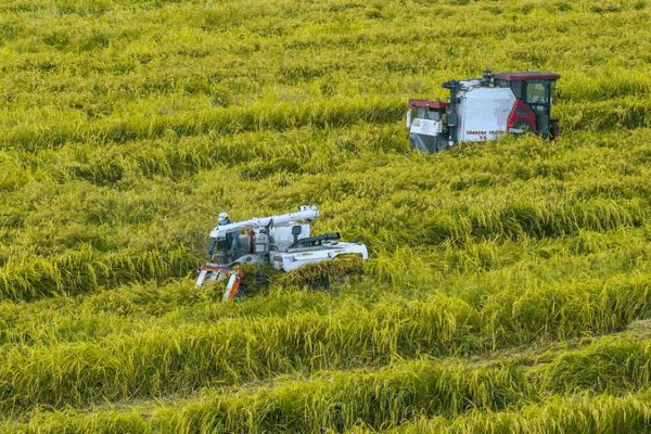 AI & Big Data Power Smart Farming in the Chinese Mainland AI___Big_Data_Power_Smart_Farming_in_the_Chinese_Mainland