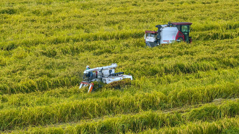 AI___Big_Data_Power_Smart_Farming_in_the_Chinese_Mainland