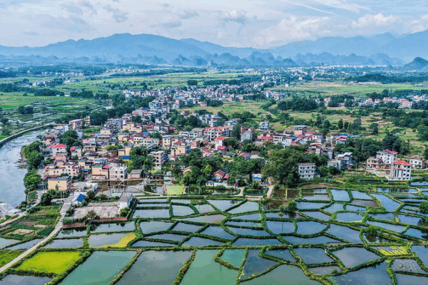Inside the Chinese mainland’s 33K-Station Eco Monitoring Network 🌱 Inside the Chinese mainland’s 33K-Station Eco Monitoring Network 🌱
