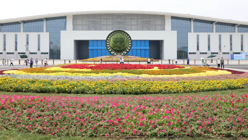 Global Governance Gets Real: Why Concrete Actions Matter 🌍