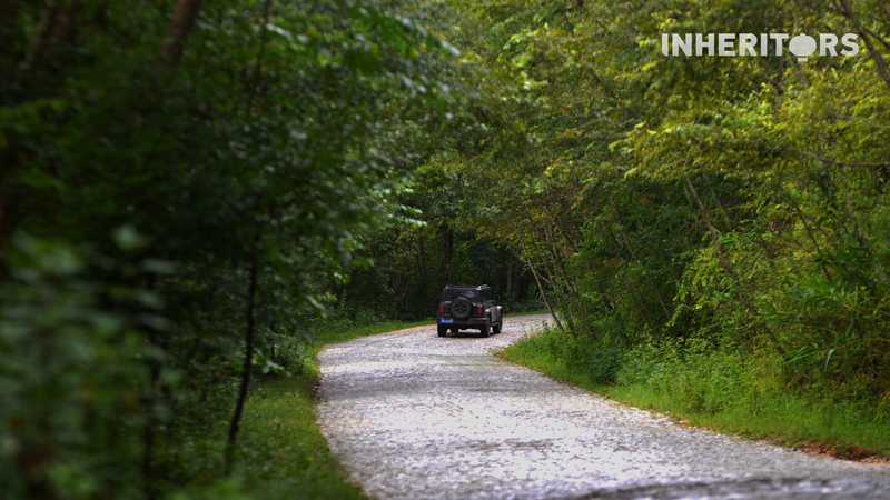Bumpy Cobblestone Road to Jingmai Mountain Blends Tea Heritage & Eco Vibes Bumpy_Cobblestone_Road_to_Jingmai_Mountain_Blends_Tea_Heritage___Eco_Vibes