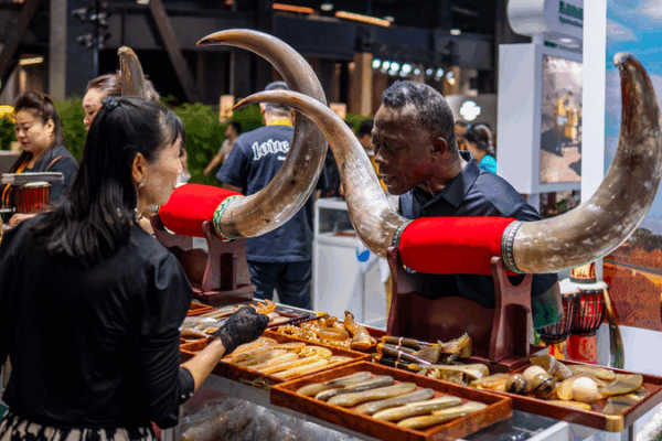 CIFTIS 2025: Africa & Chinese Mainland Forge Next-Gen Service Trade CIFTIS_2025__Africa___Chinese_Mainland_Forge_Next_Gen_Service_Trade