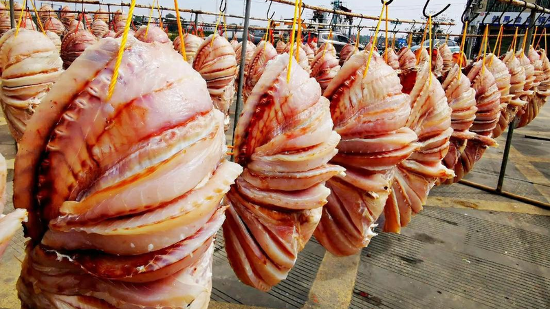 CZ8S68LIH0U017NABT0F - Namaste Headlines Sun-Kissed Snapper: Danzhou’s Heritage Flavor