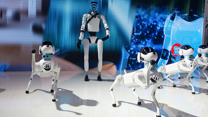 China_s_AI__International_Cooperation_Initiative__Driving_AI_for_Good