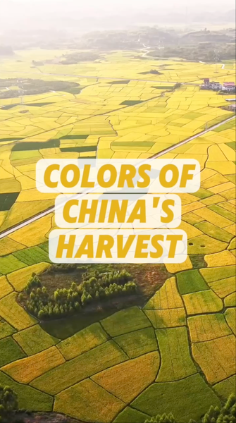 China_s_Autumn_Harvest__Nature_s_Limited_Edition_Color_Palette video poster