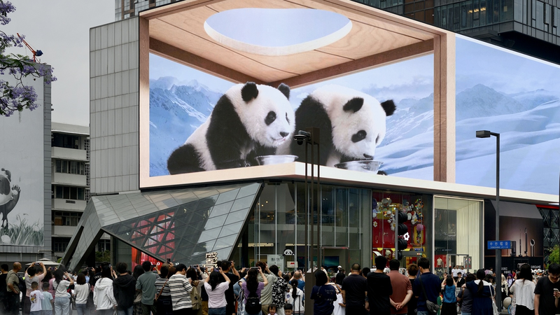 Cozy_Urban_Life_Takes_Off_as_Sichuan_s_Retail_Sales_Soar_poster - Namaste Headlines Cozy_Urban_Life_Takes_Off_as_Sichuan_s_Retail_Sales_Soar video poster