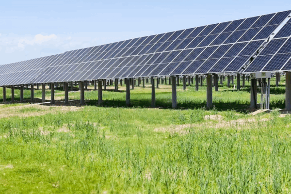 Desert to Green Energy Valley: Inner Mongolia’s Solar-Forage Revolution Desert_to_Green_Energy_Valley__Inner_Mongolia_s_Solar_Forage_Revolution