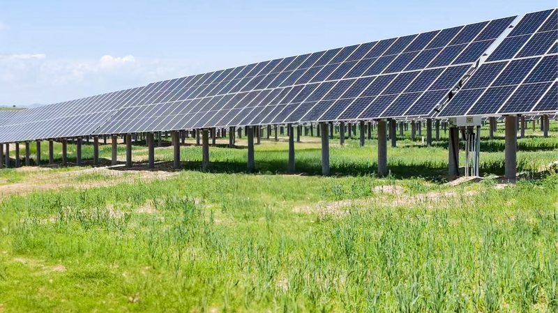 Desert_to_Green_Energy_Valley__Inner_Mongolia_s_Solar_Forage_Revolution - Namaste Headlines Desert_to_Green_Energy_Valley__Inner_Mongolia_s_Solar_Forage_Revolution