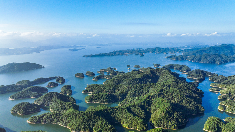 Digital_Dawn__How_Tech_Is_Supercharging_Biosphere_Protection - Namaste Headlines Digital_Dawn__How_Tech_Is_Supercharging_Biosphere_Protection