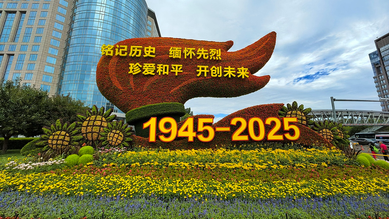 80 Years On: How WWII’s Hard-Won Peace Shapes Our Future