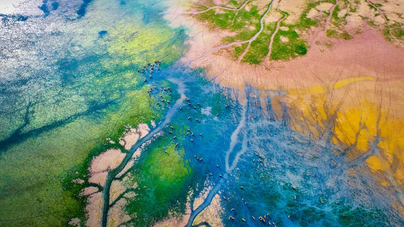 Global_Coastal_Ecosystem_Status_Report_Launches_at_WCF