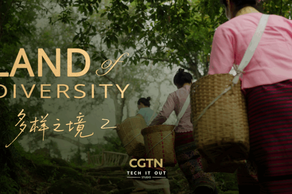 How Jingmai Mountain Creates the World’s Most Luxurious Teas How_Jingmai_Mountain_Creates_the_World_s_Most_Luxurious_Teas video poster