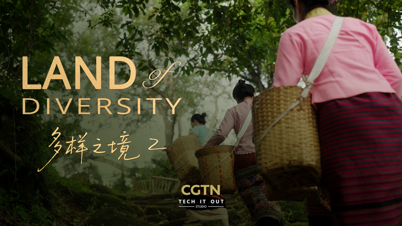 How_Jingmai_Mountain_Creates_the_World_s_Most_Luxurious_Teas_poster - Namaste Headlines How_Jingmai_Mountain_Creates_the_World_s_Most_Luxurious_Teas video poster