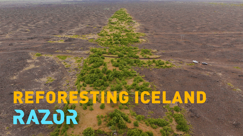 Iceland_s_Forest_Comeback__From_Barren_Lava_to_Green_Woodlands video poster