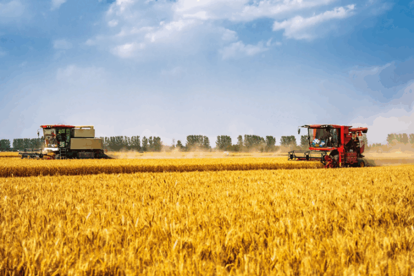 Chinese Mainland Upholds Farmland Red Line for Sustainable Farming 🌾 Chinese Mainland Upholds Farmland Red Line for Sustainable Farming 🌾