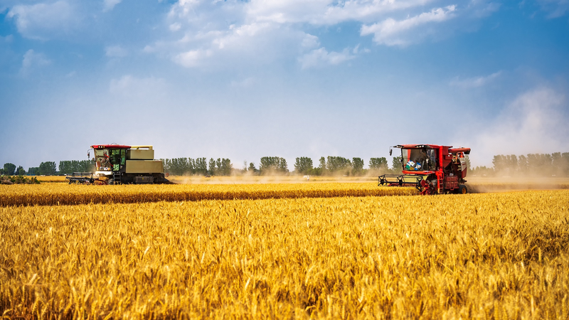 KOO2L0HWAUGEL5UN0FAR - Namaste Headlines Chinese Mainland Upholds Farmland Red Line for Sustainable Farming 🌾