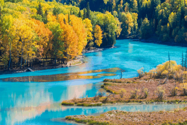 Kanas Lake in Autumn: Golden Hues & Blue-Green Views Kanas_Lake_in_Autumn__Golden_Hues___Blue_Green_Views