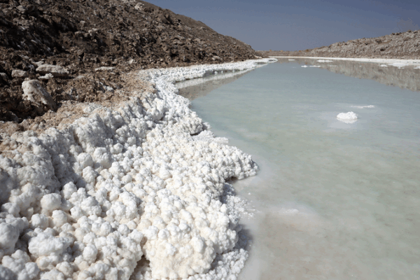 Discover East Salt Lake: Xinjiang’s White Crystal Oasis Discover East Salt Lake: Xinjiang’s White Crystal Oasis