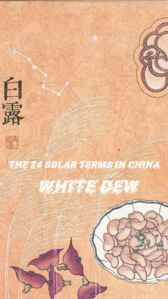 Embrace the Chill: Discover White Dew's Magic 🍃💧 video poster