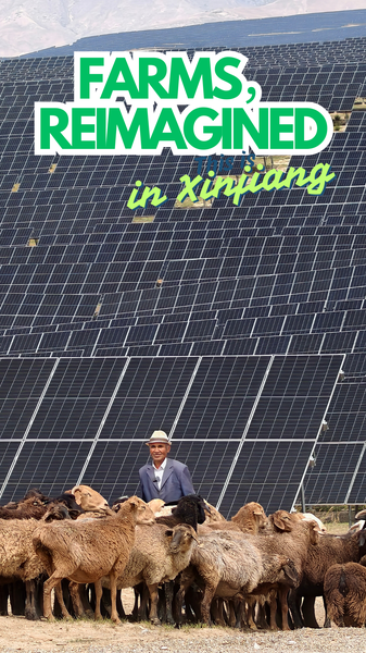 MURD9Q0HQQQHQPO3TI65 - Namaste Headlines Xinjiang’s Mountain Solar Farm: A Sea of Panels Powering the Future video poster