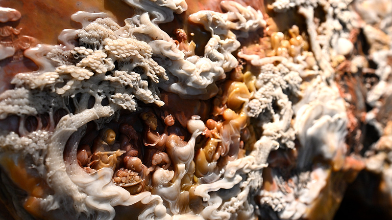 Master_Chen_s_50_Year_Love_Affair_with_Shoushan_Stone_Sculpture