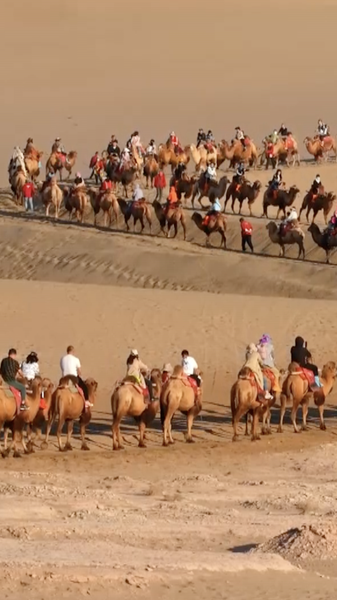 N31ADDVJHTKBT809GCMI - Namaste Headlines Bridging Cultures: Boosting Belt and Road Tourism 🚀 video poster