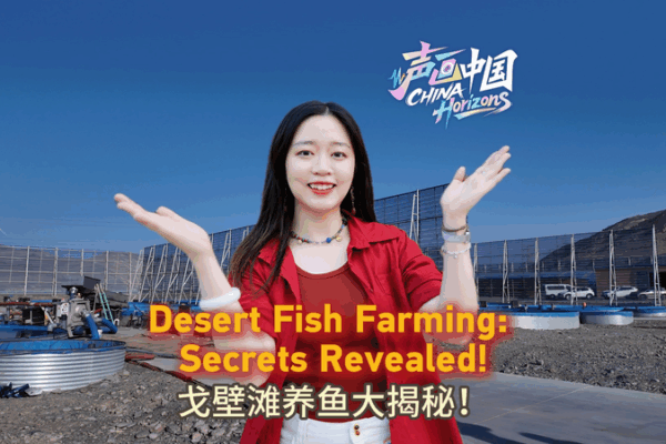 How Turpan Is Farming Fish in the Gobi Desert 🌵🐟 How Turpan Is Farming Fish in the Gobi Desert 🌵🐟 video poster