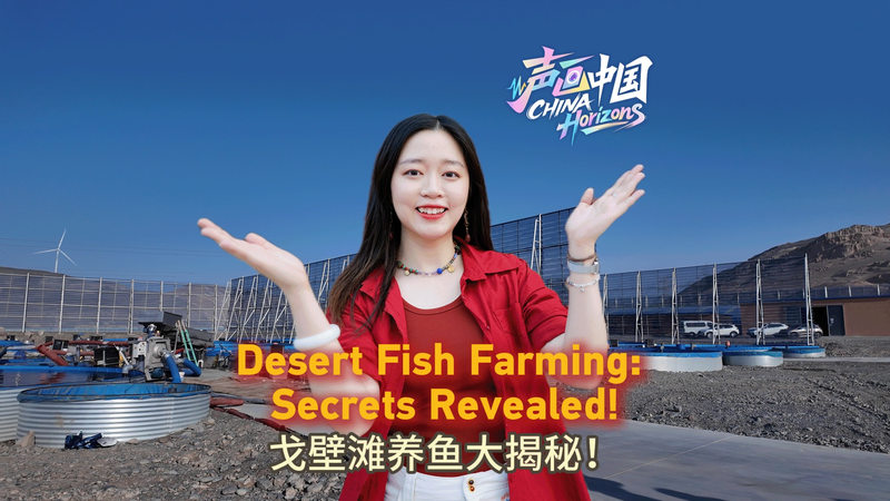How Turpan Is Farming Fish in the Gobi Desert 🌵🐟 video poster