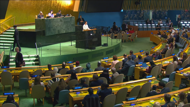 30 Years On: UN’s 1995 Beijing Conference and the Future of Women’s Empowerment video poster