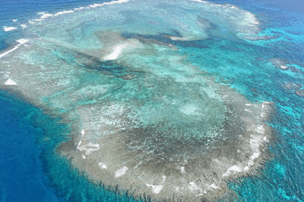 How China Balances Sovereignty and Peace in the South China Sea 🌊🤝 How China Balances Sovereignty and Peace in the South China Sea 🌊🤝
