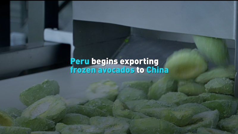 Peru_Ships_48_Tons_of_Frozen_Avocados_to_the_Chinese_Mainland video poster