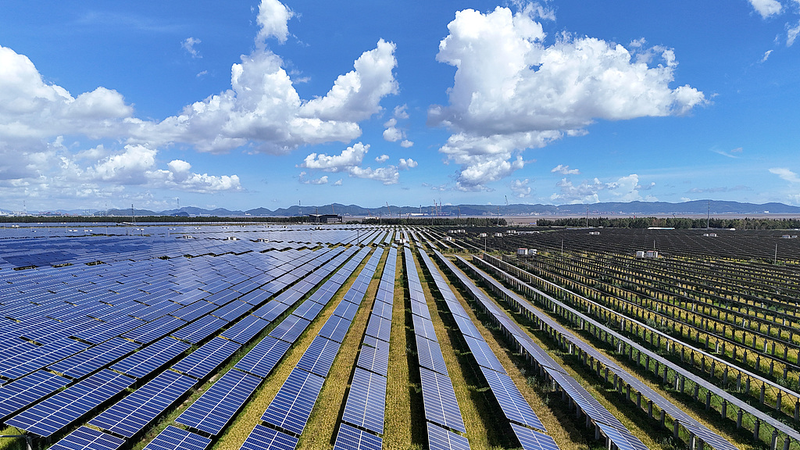 China's 2035 Climate Roadmap Sparks Global Green Action 🌱