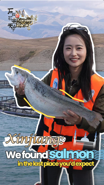 Tianshan Trout: Glacier-Fed Salmon Farming 🏔️🐟 Tianshan Trout: Glacier-Fed Salmon Farming 🏔️🐟 video poster