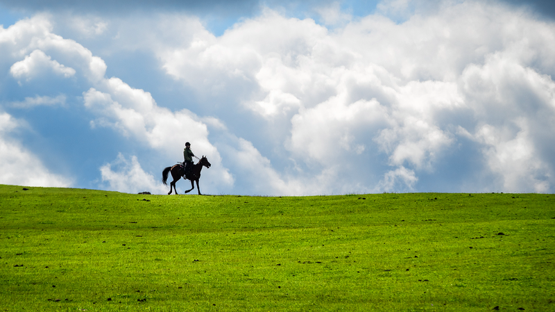 QSHFI43B6GO00SBQC9OY - Namaste Headlines Discover the Summer Magic of Kalajun Grassland 🌾 video poster