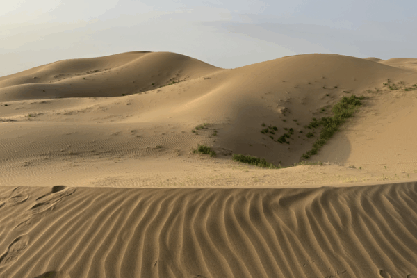 Ningxia’s 70-Year Green Miracle: Turning Desert into Fruit Oasis Ningxia’s 70-Year Green Miracle: Turning Desert into Fruit Oasis