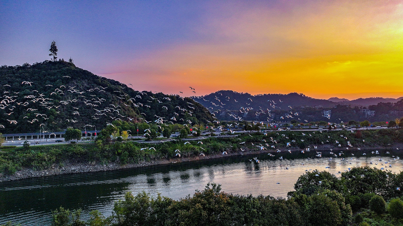 RYWP07SQWM2DZ6A7L4BA - Namaste Headlines Hangzhou to Host 5th World Congress of Biosphere Reserves 🌱 video poster