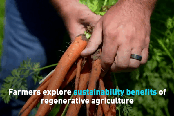 Regenerative Farming: Restoring Soil & Boosting Food Security Regenerative_Farming__Restoring_Soil___Boosting_Food_Security video poster