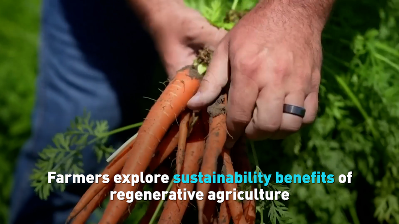 Regenerative_Farming__Restoring_Soil___Boosting_Food_Security video poster