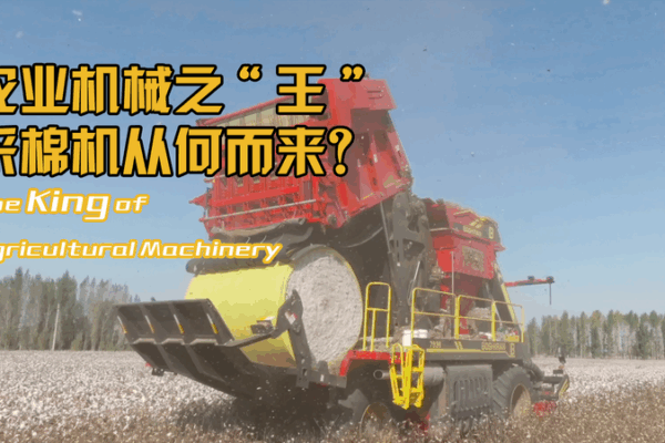Xinjiang’s King of Cotton Harvest: DIY Smart Machines 🤖🌾 Xinjiang’s King of Cotton Harvest: DIY Smart Machines 🤖🌾 video poster