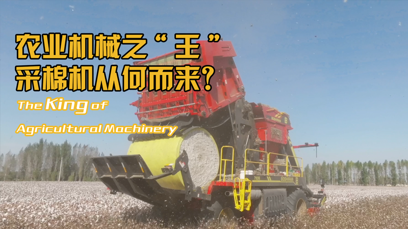 SZ2QHUX3EP5XFXLK3RA0 - Namaste Headlines Xinjiang’s King of Cotton Harvest: DIY Smart Machines 🤖🌾 video poster