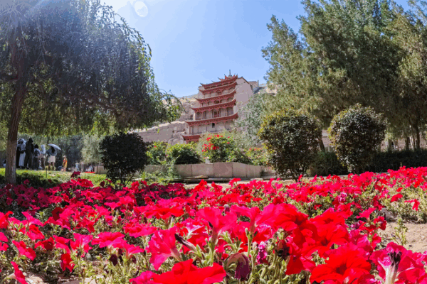 Autumn Magic at Mogao Grottoes: Dunhuang’s Cultural Gem Beckons 🎨🍂 Autumn Magic at Mogao Grottoes: Dunhuang’s Cultural Gem Beckons 🎨🍂