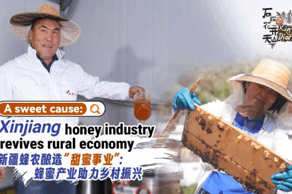 Sweet_Revival__Xinjiang_Honey_Industry_Empowers_Rural_Economy video poster