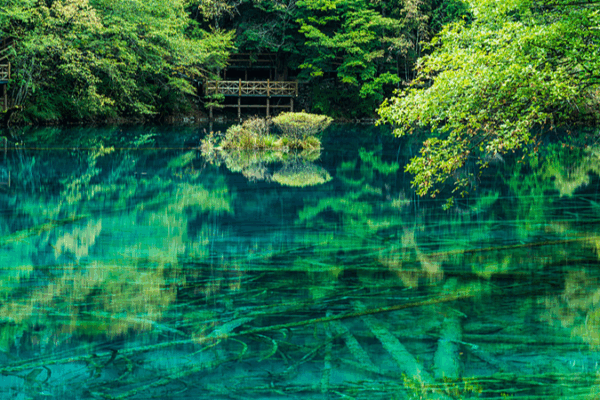 Five-Flower Lake: Jiuzhaigou’s Living Color Palette Five-Flower Lake: Jiuzhaigou’s Living Color Palette video poster