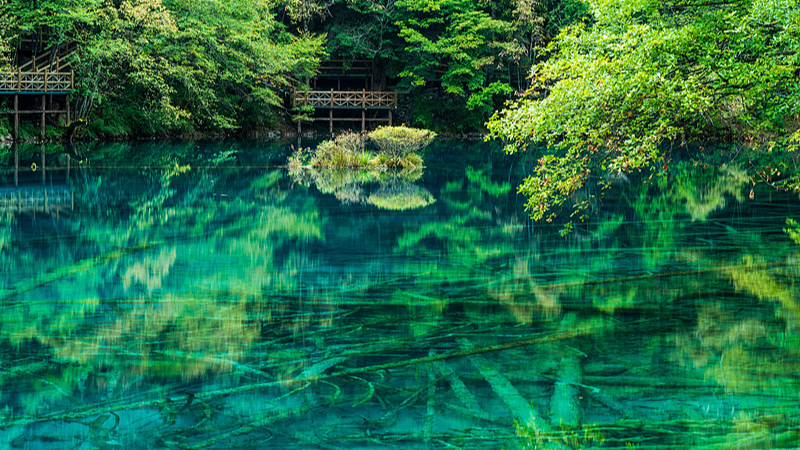 T27TXQQ7V0X1BGCRKWIJ - Namaste Headlines Five-Flower Lake: Jiuzhaigou’s Living Color Palette video poster