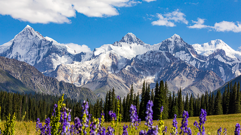 Snap Your Story: Xinjiang International Photo Contest 📸 Snap Your Story: Xinjiang International Photo Contest 📸