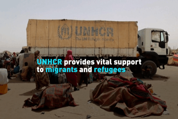 UN at 80: UNHCR’s Lifeline for Migrants & Refugees in Latin America 🌎 UN at 80: UNHCR's Lifeline for Migrants & Refugees in Latin America 🌎 video poster
